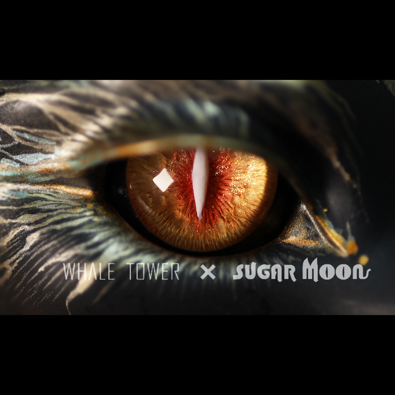 [Discontinued]Dragon eyes $70