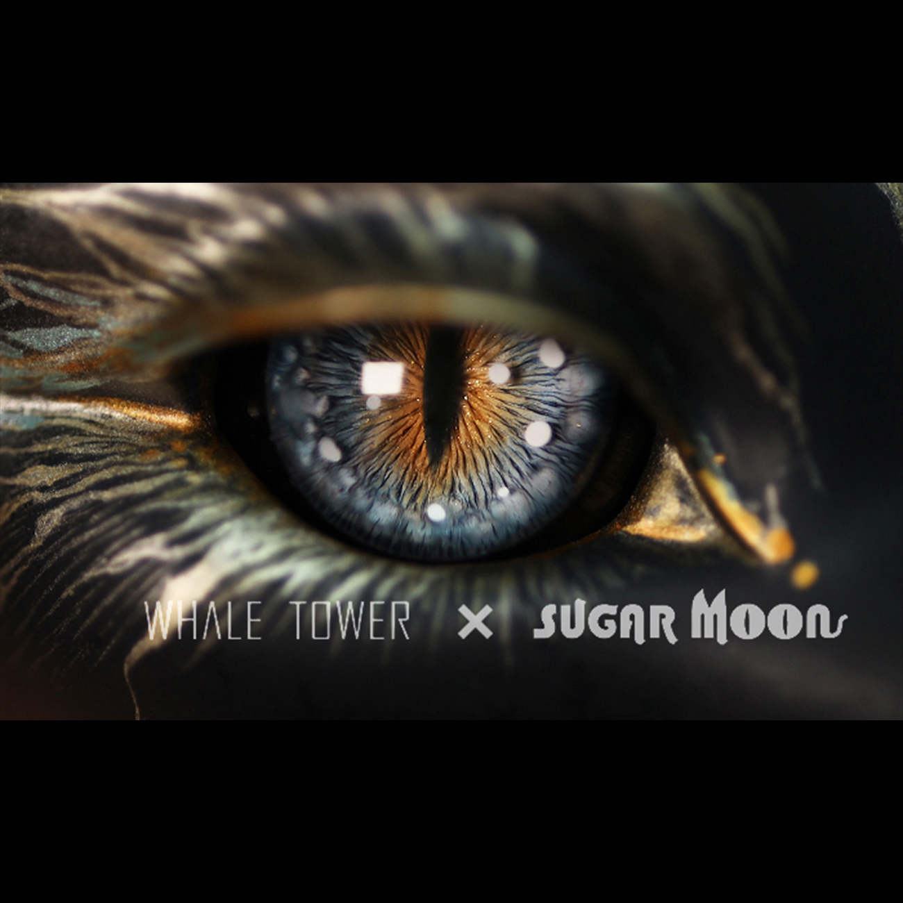 [Discontinued]Dragon eyes $70