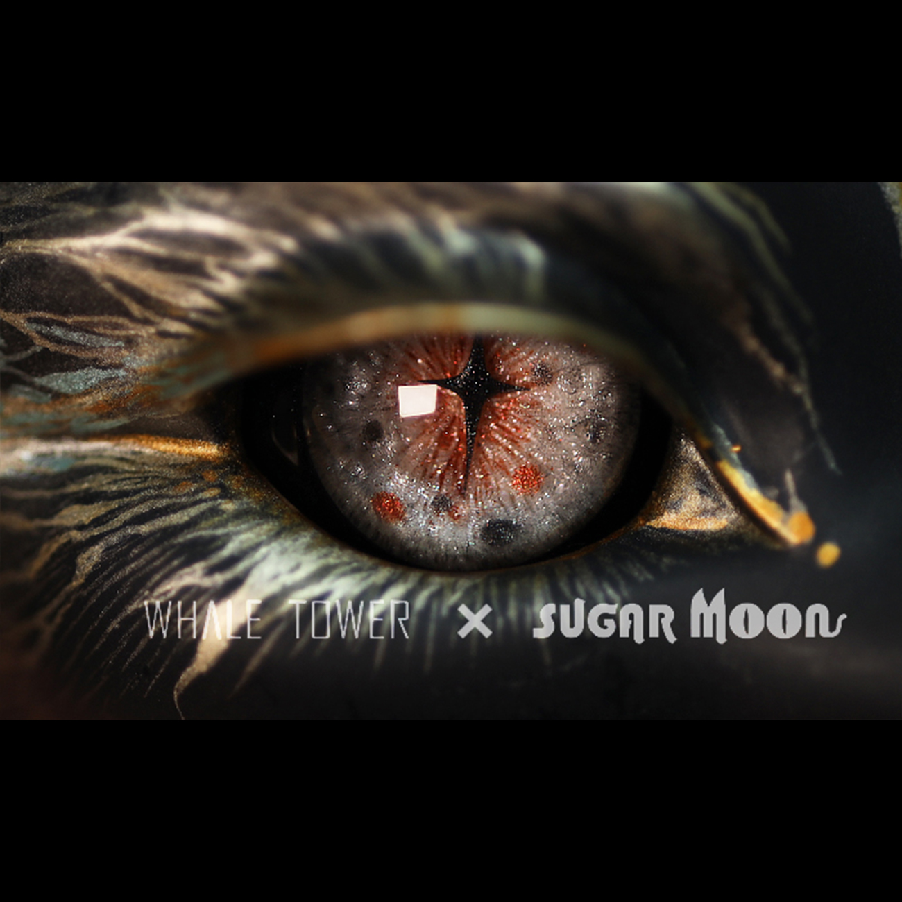 [Discontinued]Dragon eyes $70