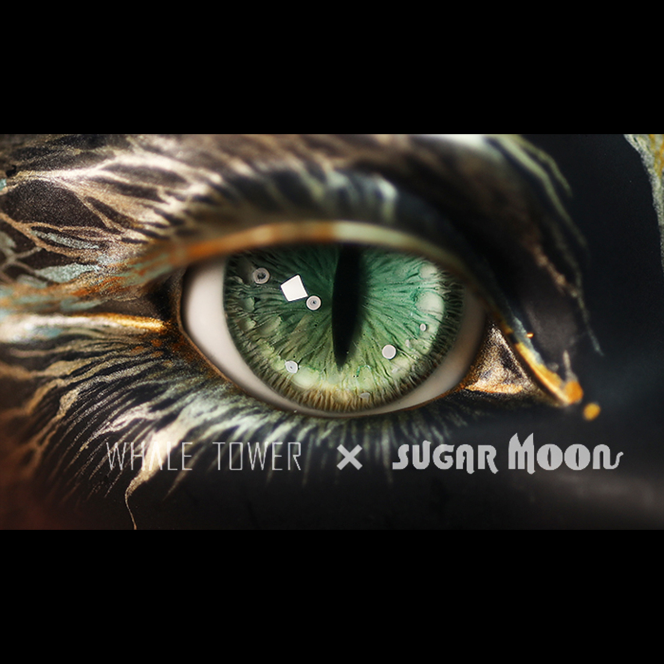 [Discontinued]Dragon eyes $70