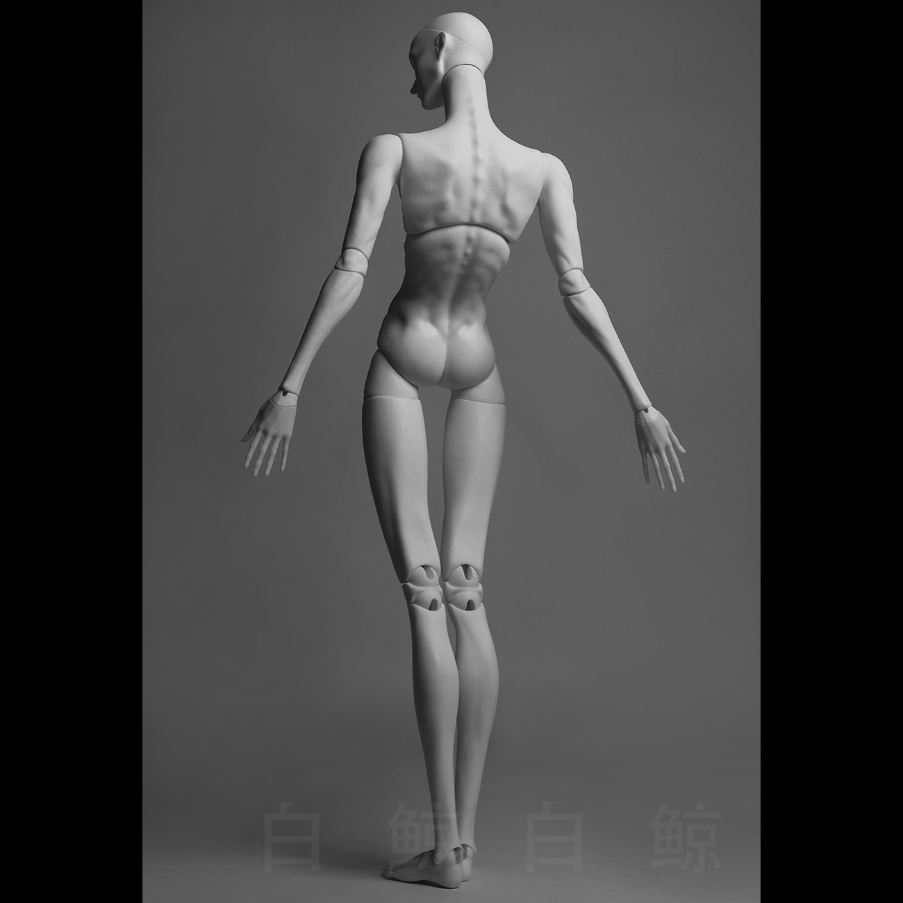 75cm Male Body  $495