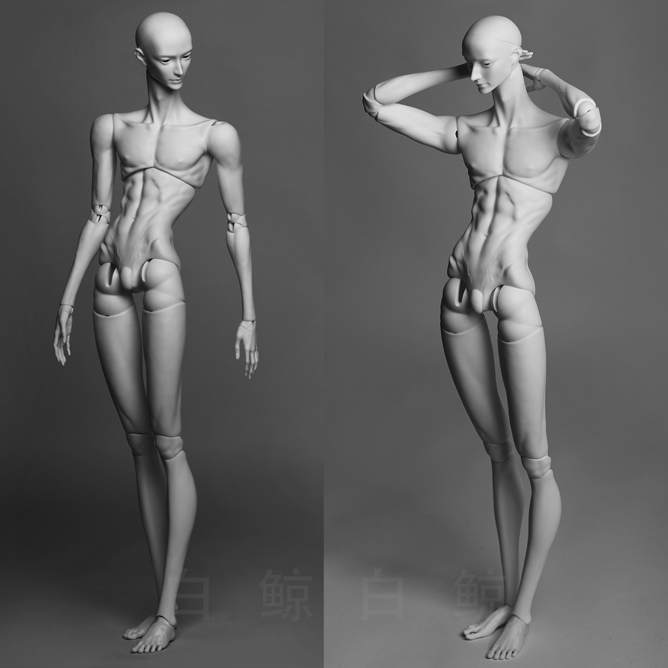 75cm Male Body  $495