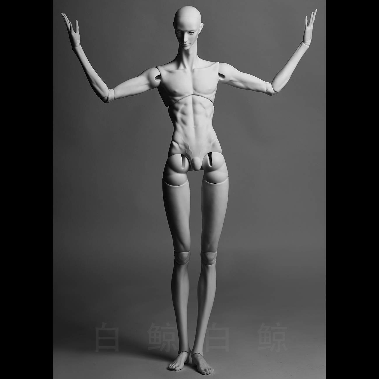75cm Male Body  $495