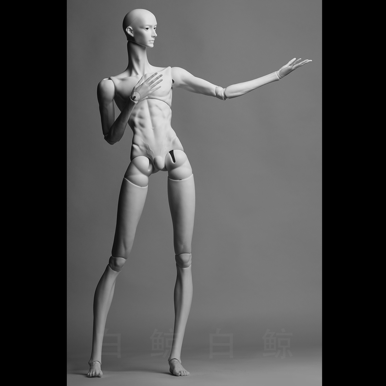 75cm Male Body  $495