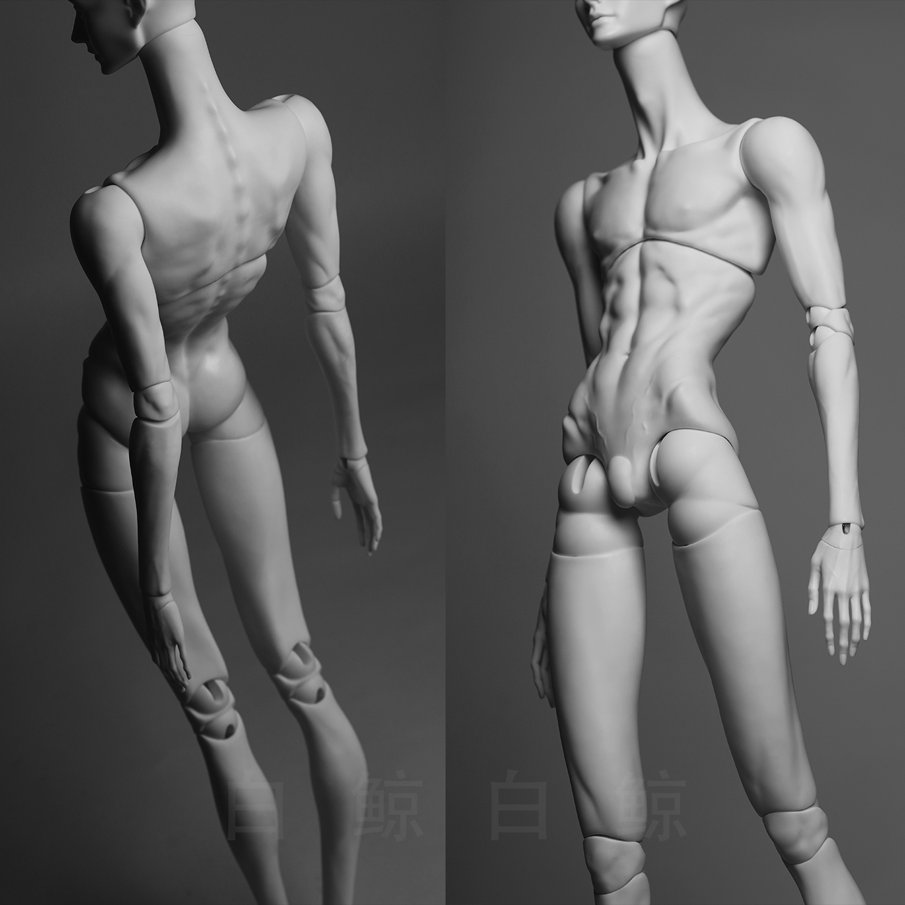 75cm Male Body  $495