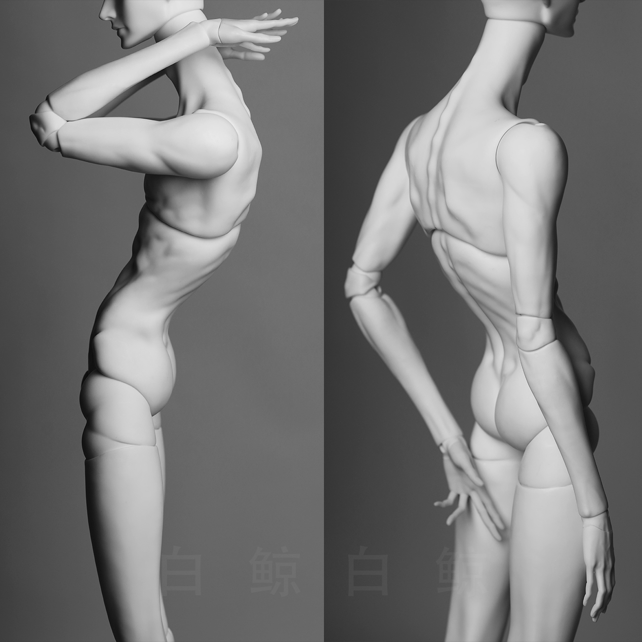 75cm Male Body  $495