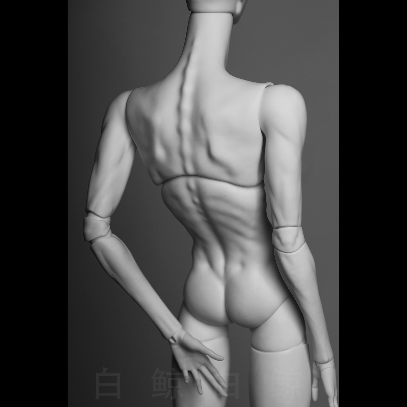 75cm Male Body  $4