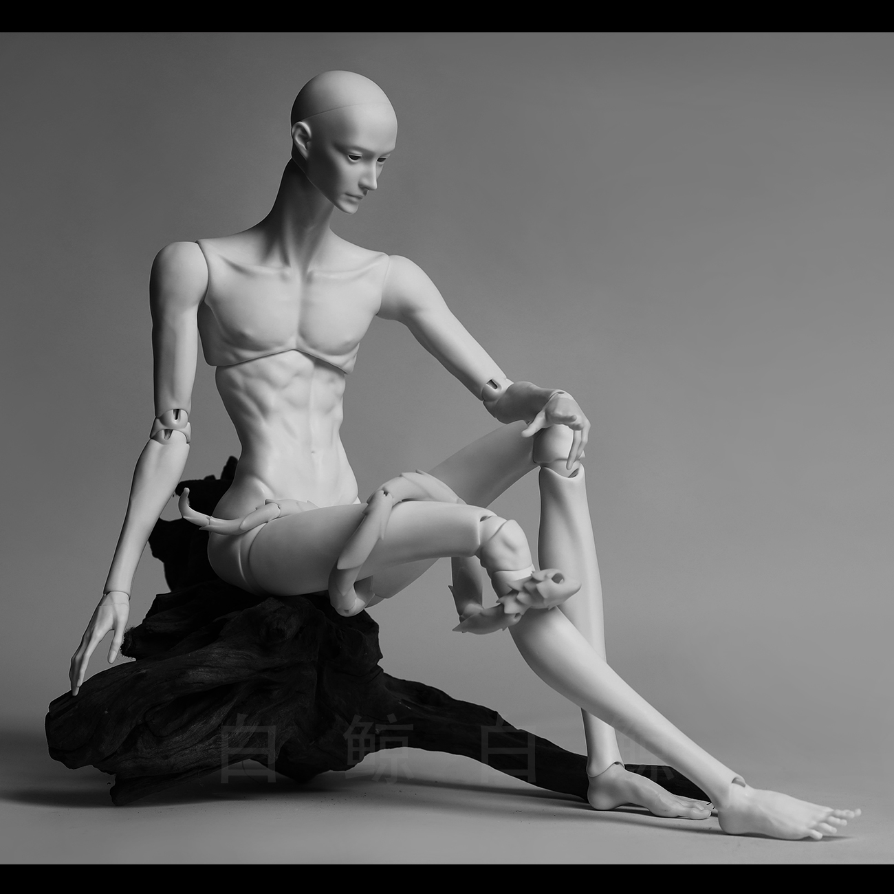 75cm Male Body  $495