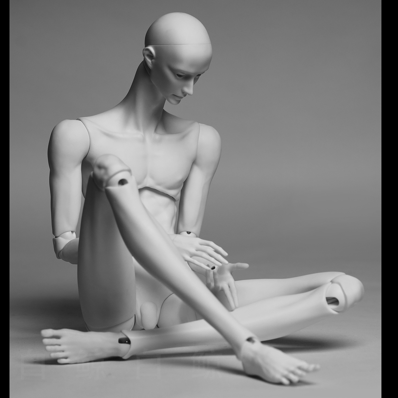 75cm Male Body  $495