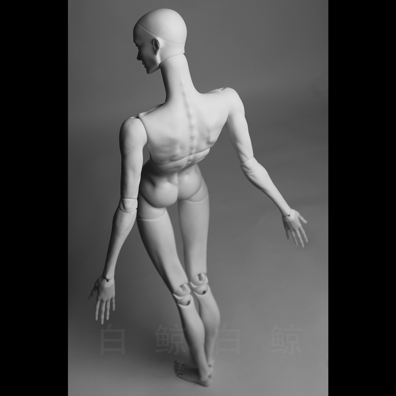 75cm Male Body  $495