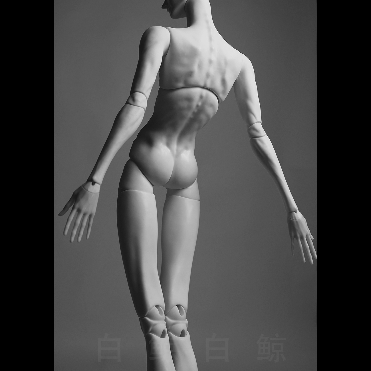 75cm Male Body  $495