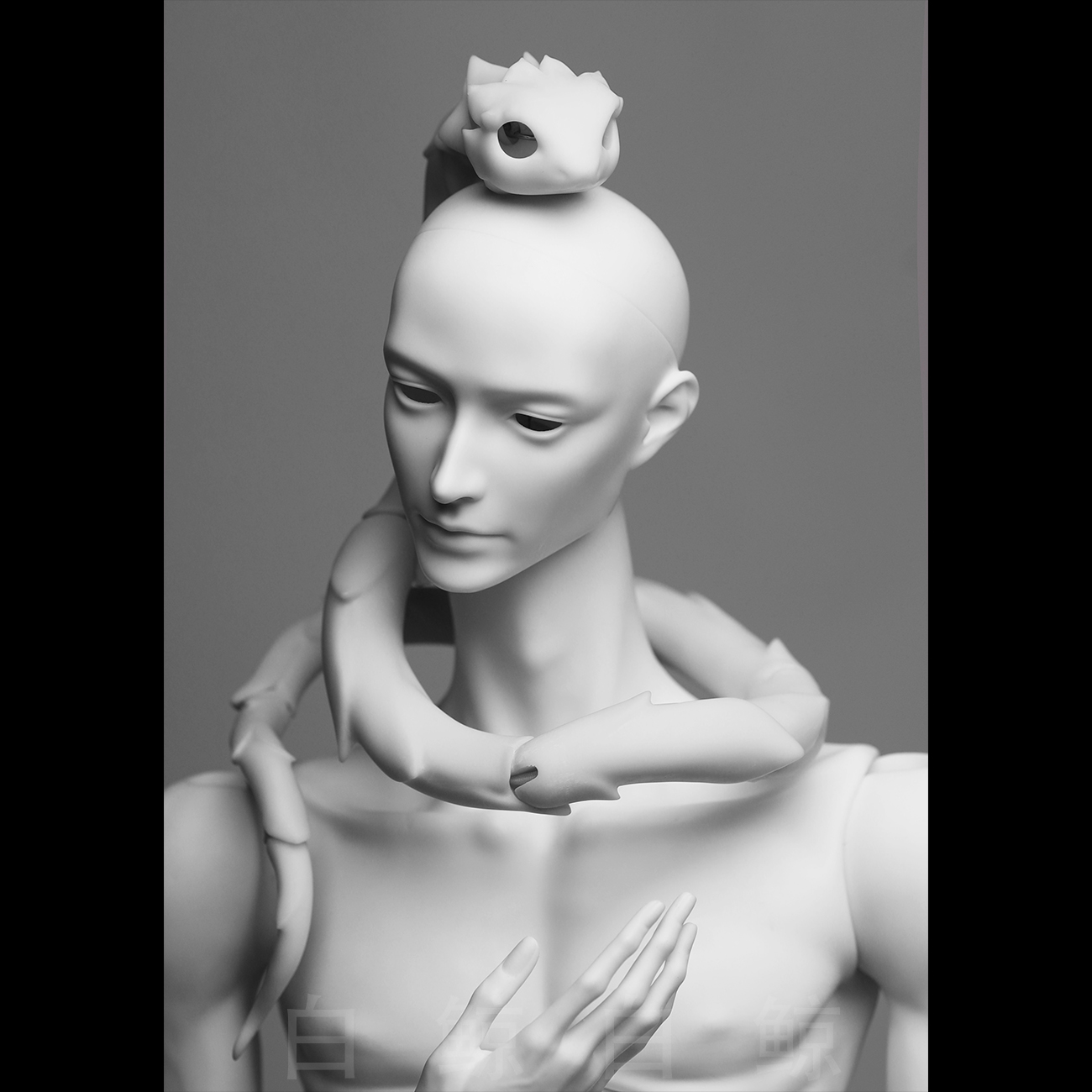 Small snake $159